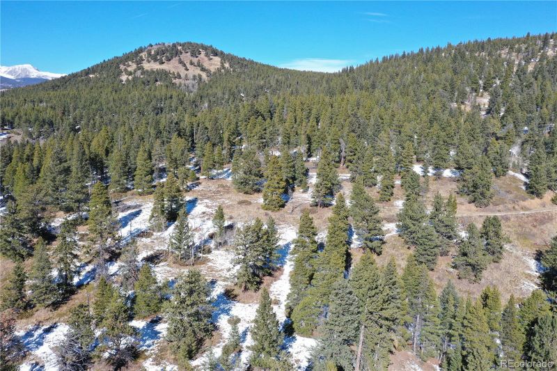 6359 Coal Creek Canyon Dr, Nederland, CO 80466
