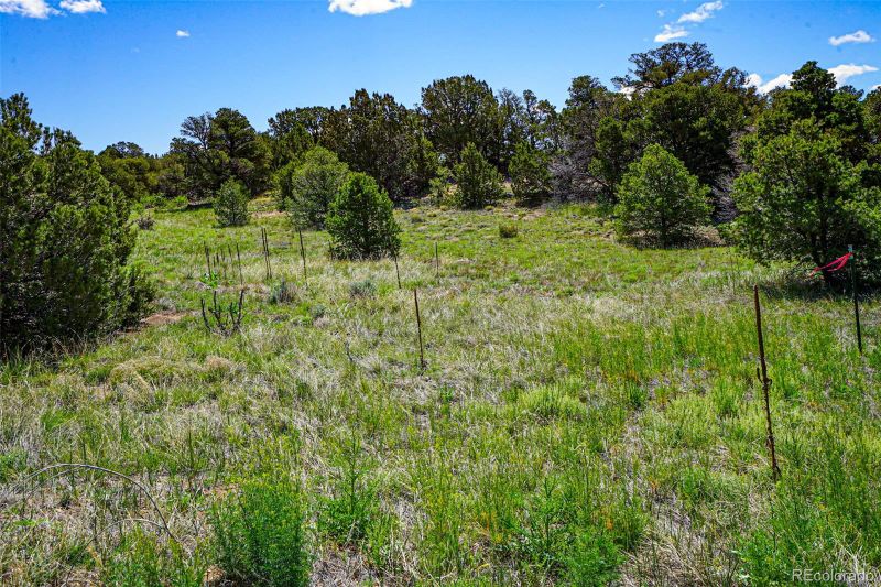 Comanche Dr, Walsenburg, CO 81089