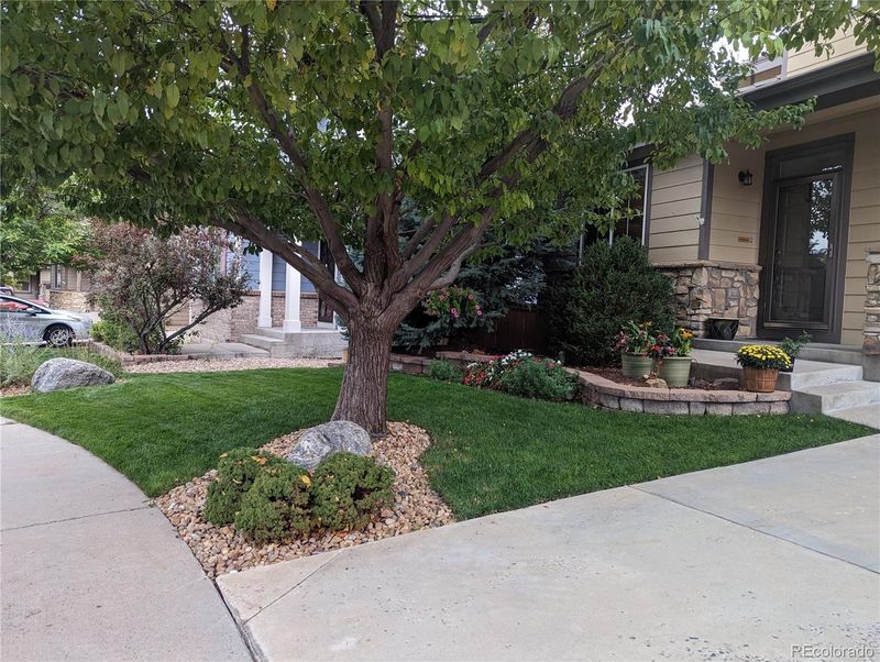 10519 Westcliff Way, Highlands Ranch, CO 80130