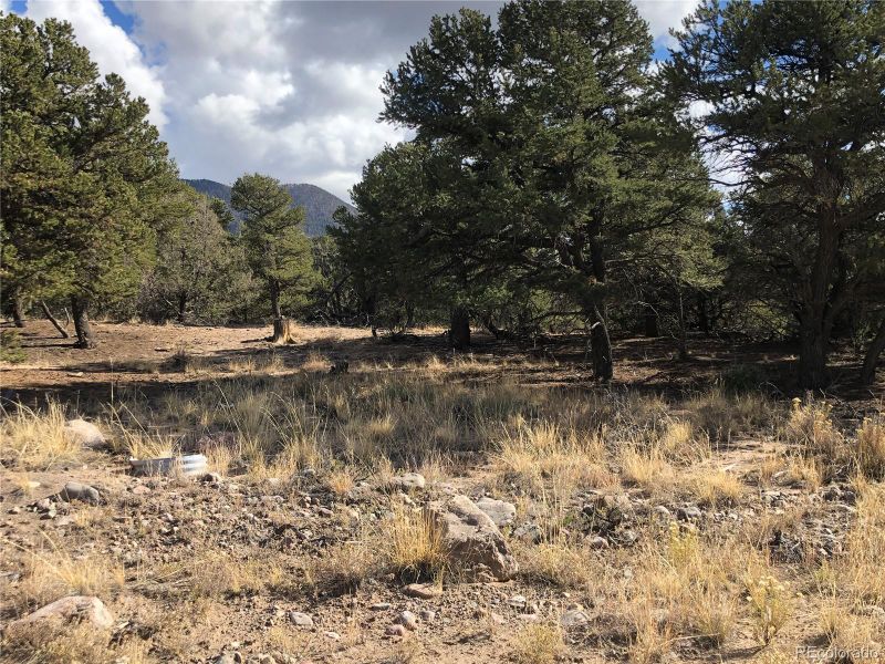 465 Arrowhead Way Lot 465, Crestone, CO 81131