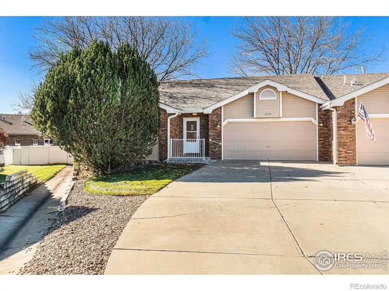 1245 Honeysuckle Ct, Windsor, CO 80550