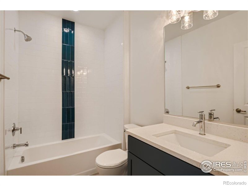 813 Canoe Birch Dr, Windsor, CO 80550