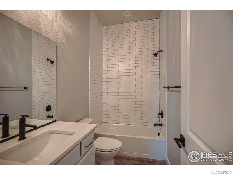 813 Canoe Birch Dr, Windsor, CO 80550