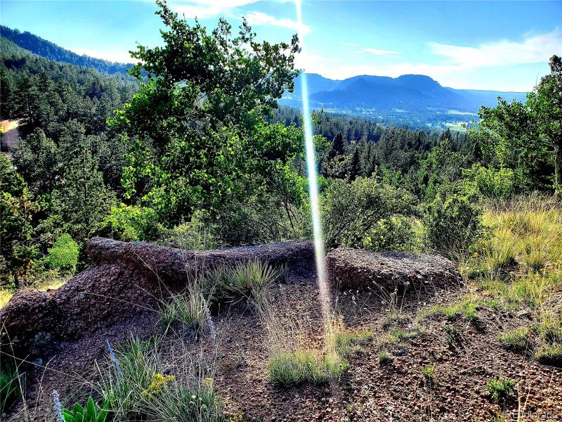 46 Alpine Dr, Cripple Creek, CO 80863
