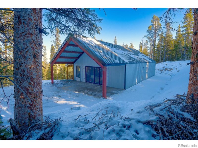 169 Puma Pl, Fairplay, CO 80440