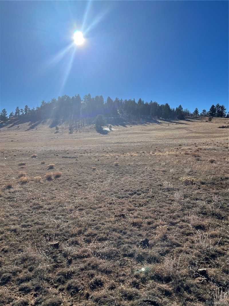 1642 Garfield Rd, Hartsel, CO 80449