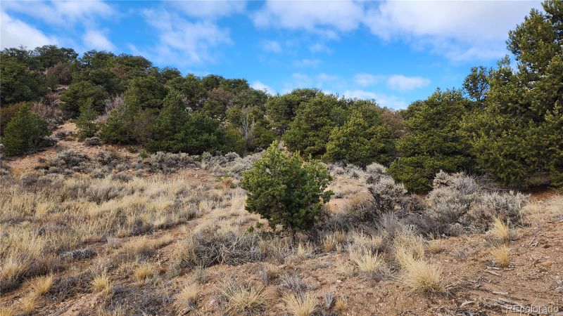 1488 Dunn Rd, San Luis, CO 81152