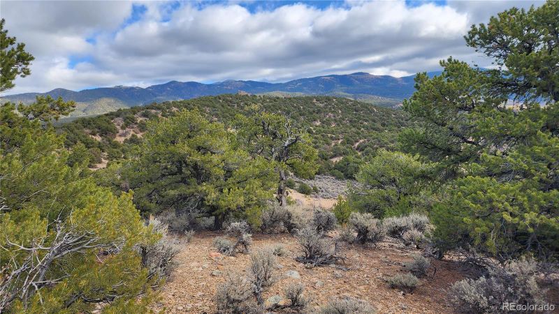 1488 Dunn Rd, San Luis, CO 81152