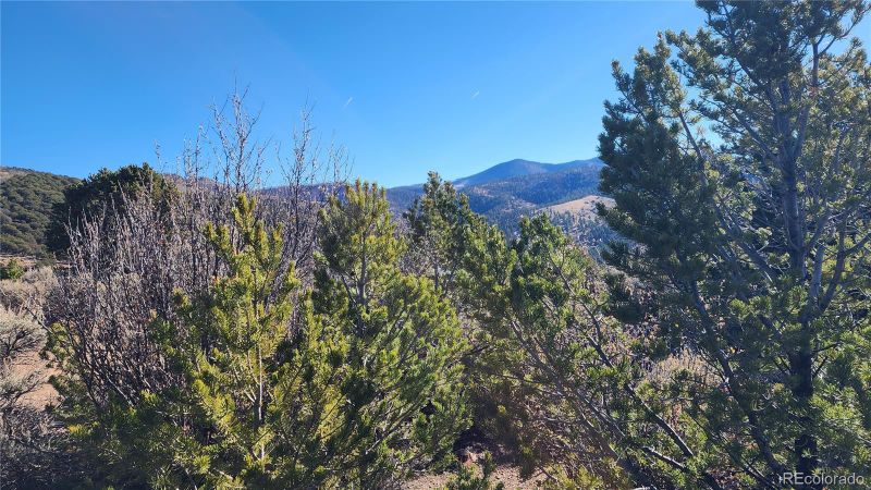 7468 Spring Rd, Fort Garland, CO 81133
