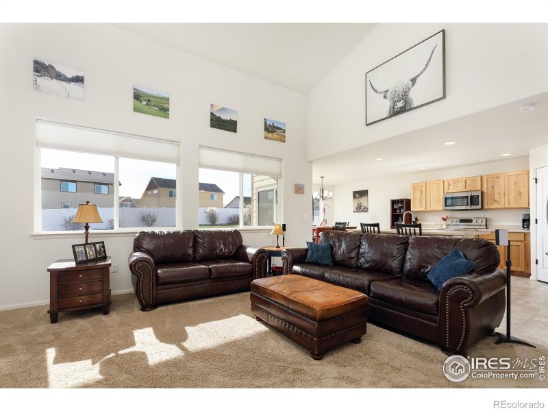 1581 Bright Shore Ln, Severance, CO 80550