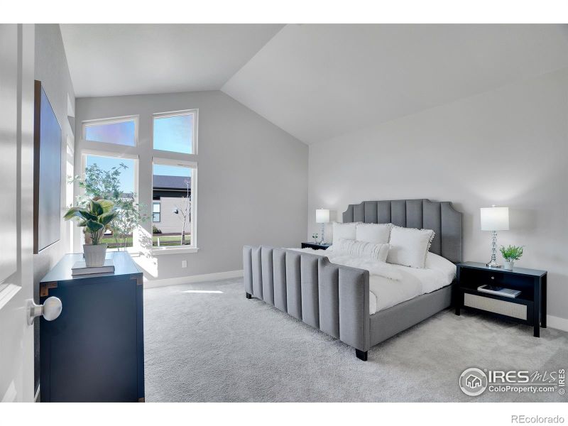 2793 Vallecito St, Timnath, CO 80547