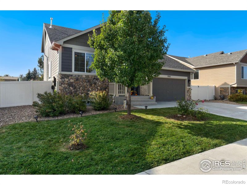 1365 Murrlet St, Berthoud, CO 80513