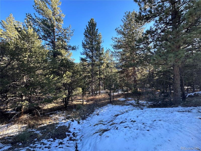 County Road 162, Nathrop, CO 81236