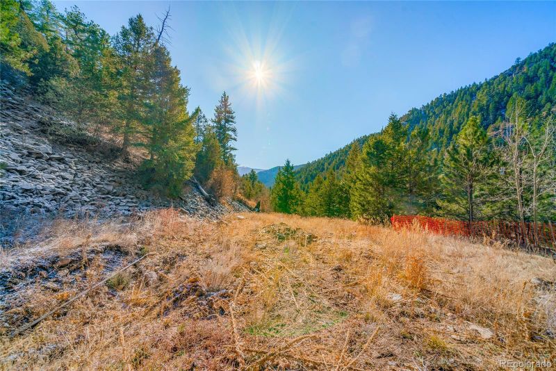 1150 Fall River Rd, Idaho Springs, CO 80452