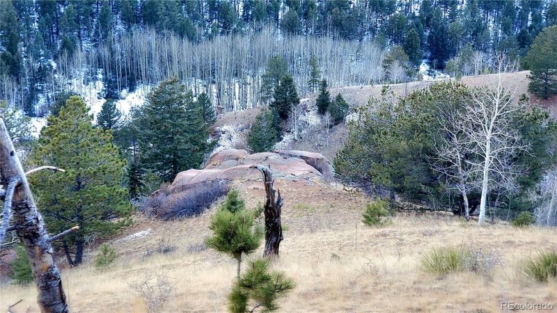 161 Last Dollar Dr, Cripple Creek, CO 80813