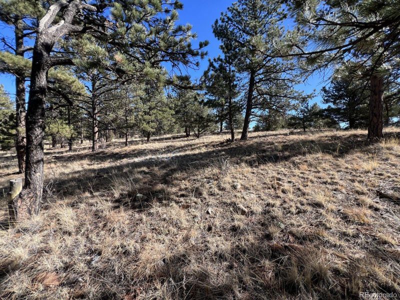 2712 Osage Trl, Westcliffe, CO 81252