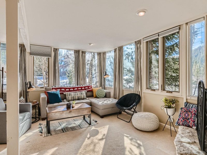 156 Lance Ln #1, Breckenridge, CO 80424
