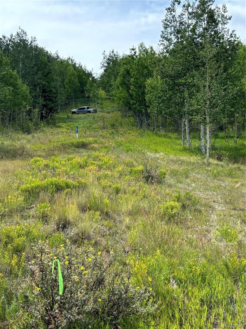 39 Lumber Jack Rd, Fairplay, CO 80440