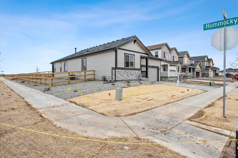 938 Rustling St, Windsor, CO 80550