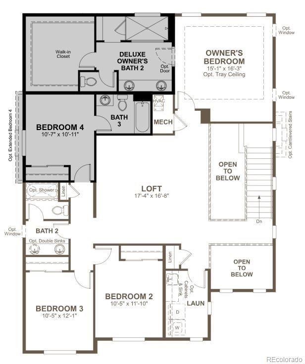 947 Rustling St, Windsor, CO 80550