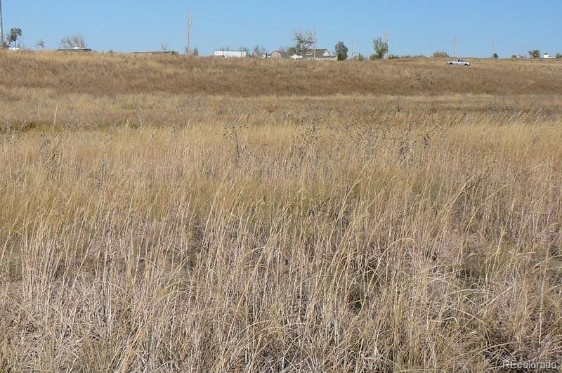 1970 Imboden Rd, Watkins, CO 80137