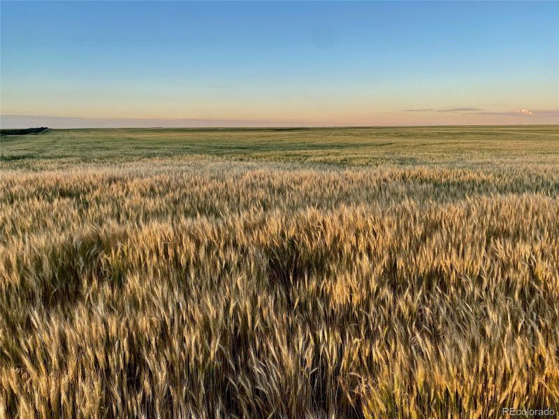 State Hwy 59, Haxtun, CO 80731