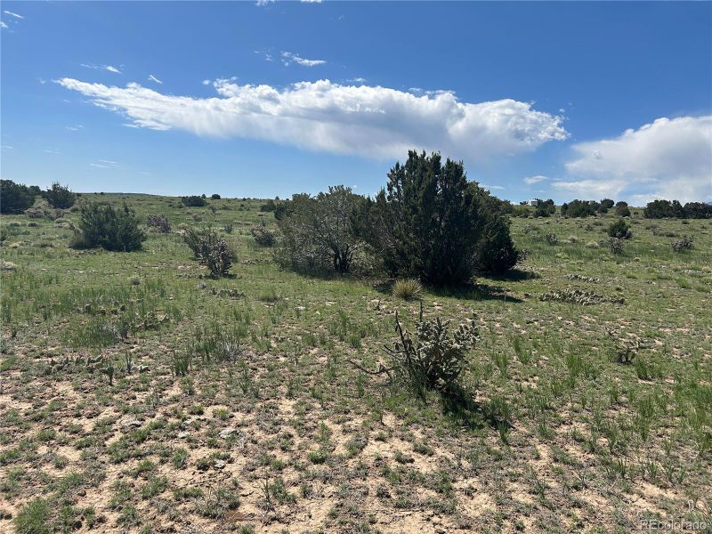 0 Rio Cucharas Phs 1 Lot 19, Walsenburg, CO 81089
