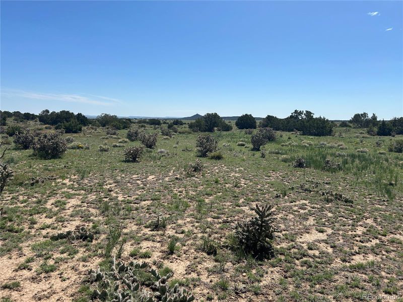 0 Rio Cucharas Phs 1 Lot 19, Walsenburg, CO 81089