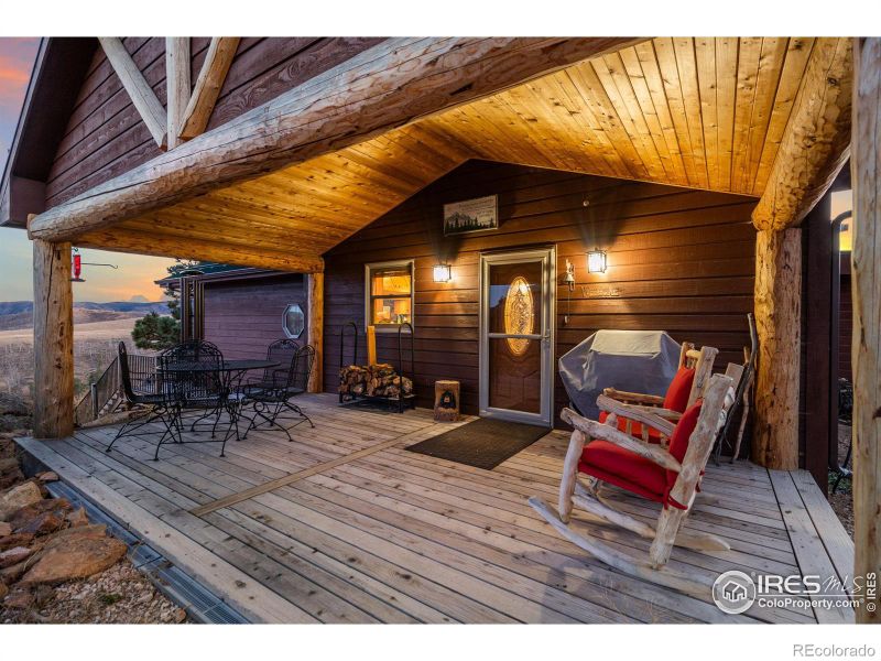 216 Jagerhorn Ct, Livermore, CO 80536