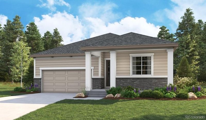 939 Rustling St, Windsor, CO 80550