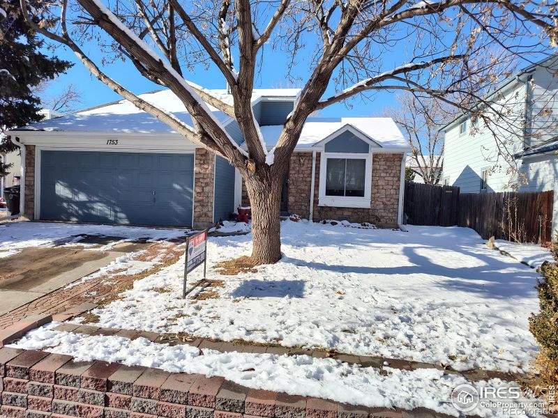 1753 Tulip St, Longmont, CO 80501