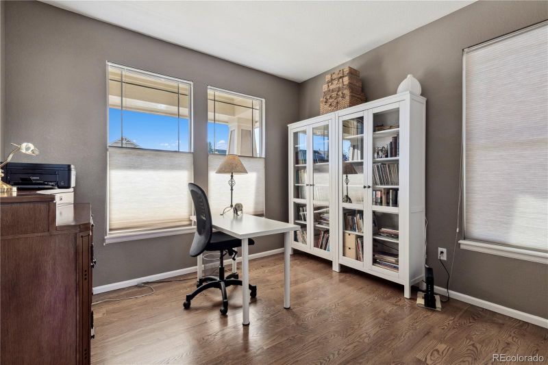 12176 S Tallkid Ct, Parker, CO 80138