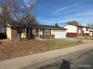 11393 Steele St, Thornton, CO 80233