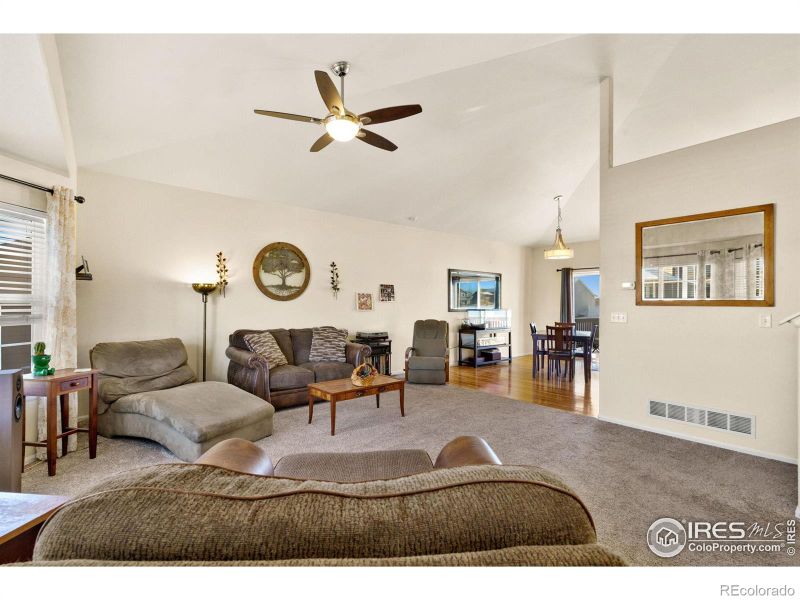 211 Windflower Way, Severance, CO 80550