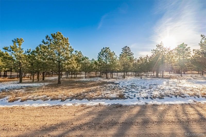 18325 Forest View Rd Lot 12, Monument, CO 80132