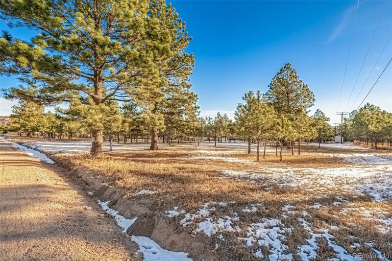 18325 Forest View Rd Lot 12, Monument, CO 80132