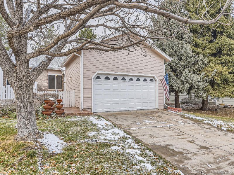 53 Canongate Ln, Highlands Ranch, CO 80130