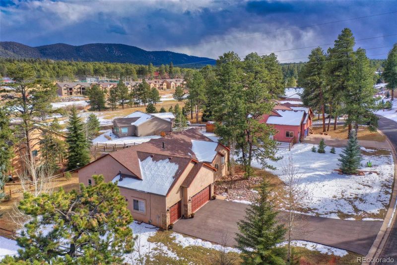 1383 Masters Dr, Woodland Park, CO 80863