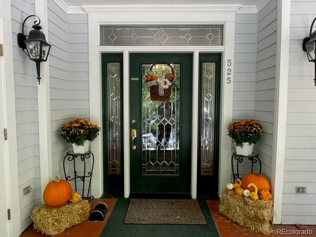 525 2nd St, Ouray, CO 81427