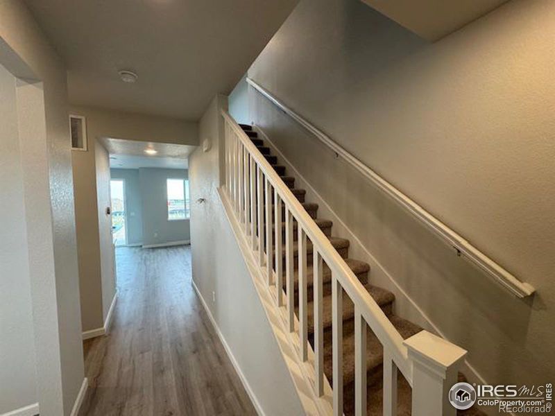 4420 Caramel St, Timnath, CO 80547