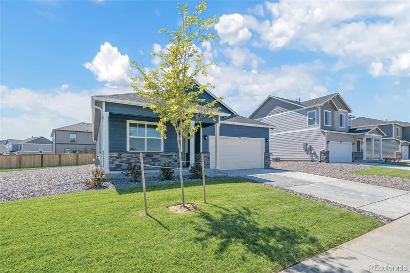 6060 Holstein Dr, Windsor, CO 80528