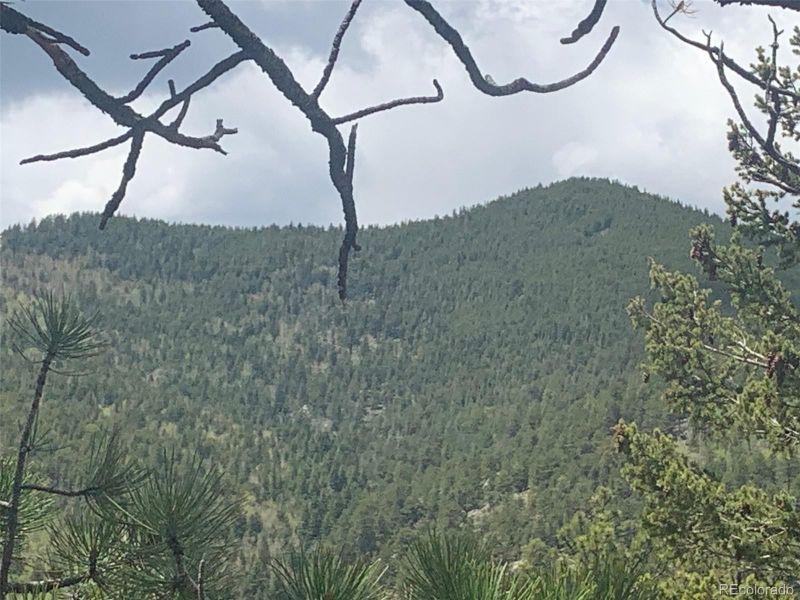 0 Risky Rd, Golden, CO 80403