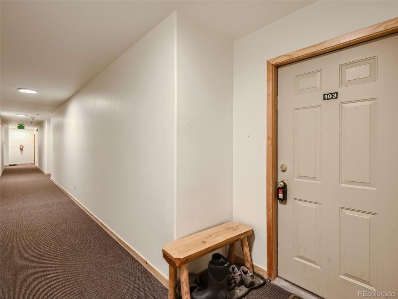 140 Wildernest Ct #103, Silverthorne, CO 80498