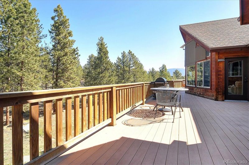 30611 Main Range Dr, Buena Vista, CO 81211
