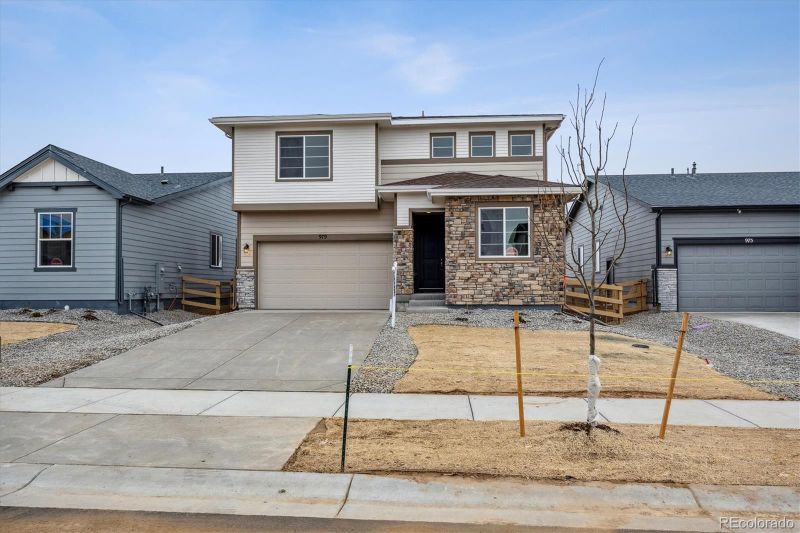 979 Rustling St, Windsor, CO 80550