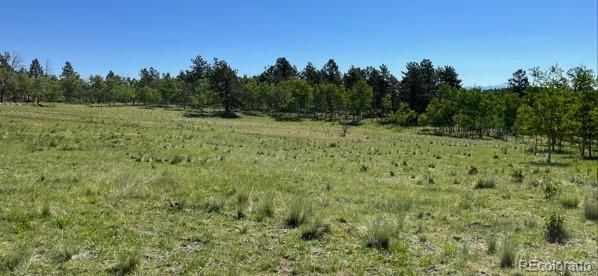 542 Deerview Dr Lot 532, Lake George, CO 80827