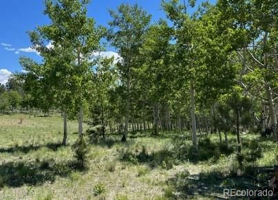 542 Deerview Dr Lot 532, Lake George, CO 80827