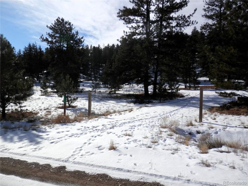 1299 Bridle Pa Lot 0109, Hartsel, CO 80449