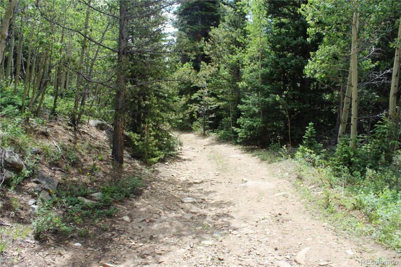 9423 Stewart Gulch Rd Lot 9423, Black Hawk, CO 80422