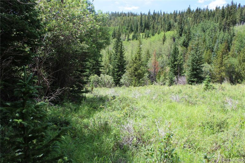 9423 Stewart Gulch Rd Lot 9423, Black Hawk, CO 80422